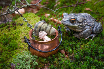 Fototapeta premium Decorative garden toad statue beside a small copper cauldron filled with mushrooms on green moss. Whimsical woodland still life with a fairy tale atmosphere.