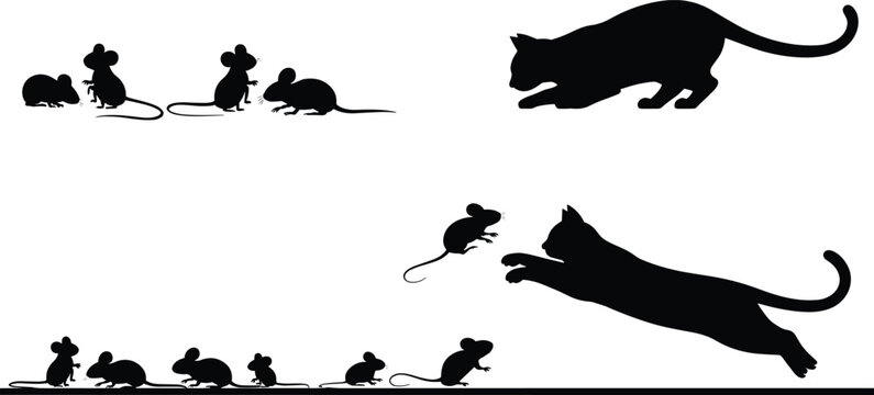 Cat Hunting Mouse Silhouettes Showing Predator and Prey Action, Playful Feline Chasing Mice Scene, Animal Behavior and Nature Concept, Vector Illustration on White Background