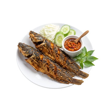Deep Fried Catfish Served with Spicy Chili Sambal and Fresh Vegetables Indonesian Pecel Lele on Plate