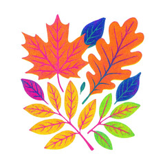 Obraz premium PNG Vibrant autumn leaves illustration