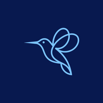 Blue hummingbird line art logo design.