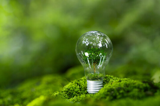 Sustainable Environment concept. ESG, green energy. Carbon emission low neutral, net zero, renewable energy, Green business,EV energy, Climate neutral long term strategy on a green background.