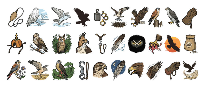 Set of majestic birds of prey and essential falconry equipment for educational materials or wildlife themed branding.