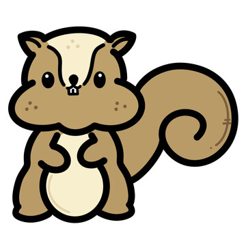 Cute squirrel