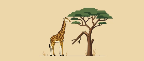 Fototapete Zoo Giraffe Eating Leaves from an Acacia Tree in African Savanna Illustration  © Bakul