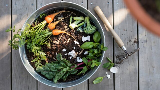  a method for composting kitchen scraps like carrot tops to create organic fertilizer.