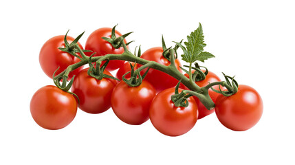Ripe red cherry tomatoes on vine with green leaves © Lysander