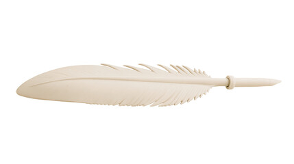 Creamy beige quill pen with detailed barbs and shaft © Lysander