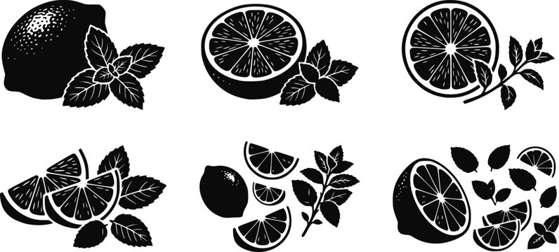 Black silhouette icons of fresh lemon and lime citrus fruit slices with green mint leaves for drink design isolated on white background