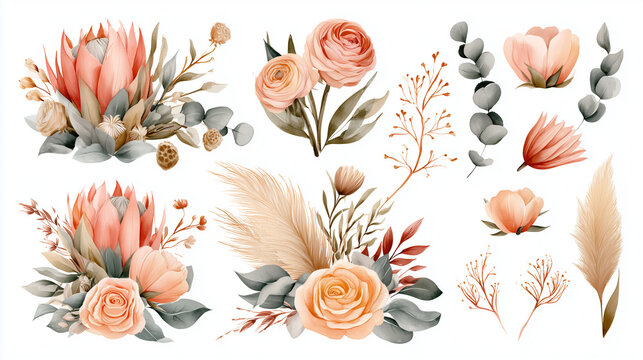Watercolor Floral Clipart Set with Peach Protea Roses and Pampas Grass for Wedding Invitations, Boho Botanical Elements Collection, Dried Flowers and Eucalyptus Leaves on White Background.