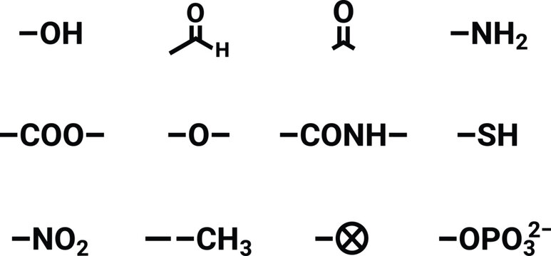 Organic Chemistry Functional Groups Icon Set for Science Education, Chemical Formulas, Laboratory Research Molecules, and Vector Illustration Style