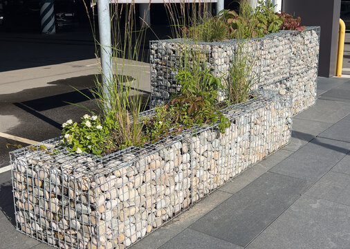 Gabion stone planters with ornamental grasses, flowering shrubs, leafy vines, and tiered urban landscaping on bright sunlit pavement, with gabion, planter, stone, cage detail
