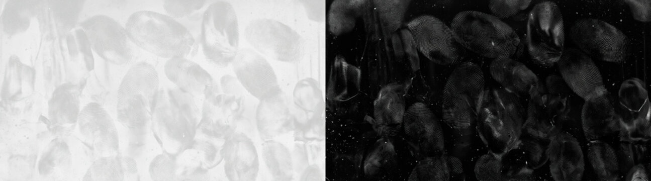 Detailed white fingerprint texture pattern on a light grey background, macro close up of smudge marks and human thumb prints for forensic security concept, criminal investigation, or modern tech
