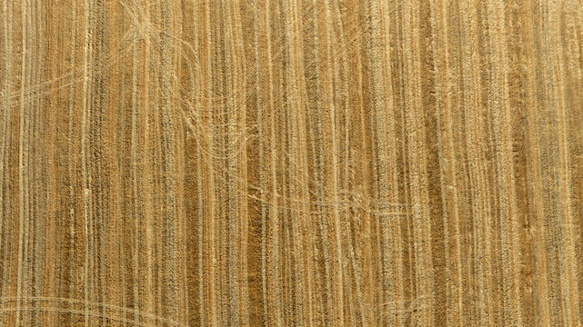 campo de siembra de cereal ya recogido y segado en Andaluc&iacute;a