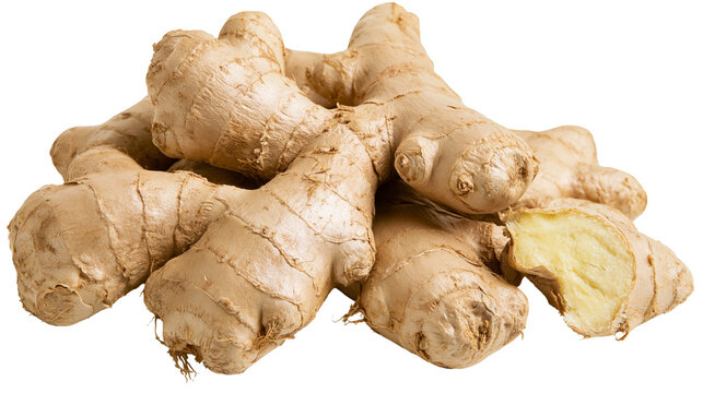 Heap of fresh ginger roots, one piece cut showing fibrous yellow flesh