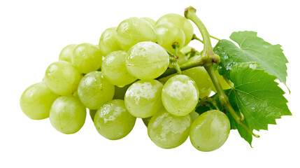 Green grapes with stem and leaf © Eustace