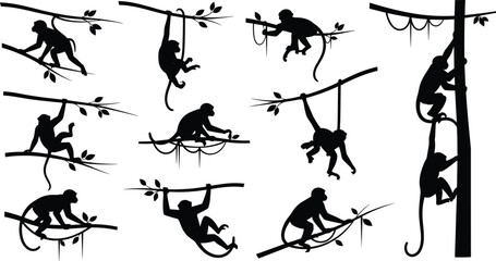 Black monkey silhouette set with primate icons climbing and hanging on jungle tree branches for wildlife nature and tropical zoo design elements © MstNilufar