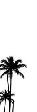 Palm tree silhouettes against a white background, minimalist design, tropical, black