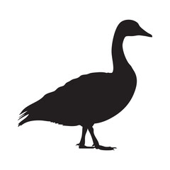 Black silhouette of a goose isolated on white background, Vector, illustration © Emdad Bodda