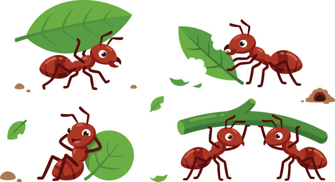  Cute cartoon red ant character vector set featuring hard working ants carrying green leaf eating foliage and lifting heavy branch together