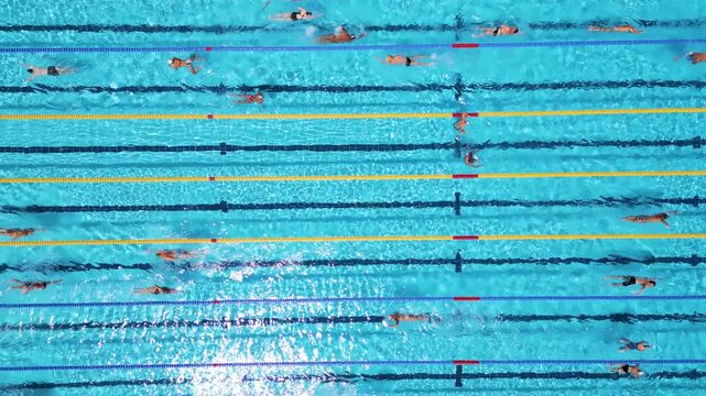 Aerial Top Down View of Swimmers Training in an Outdoor Swimming Pool