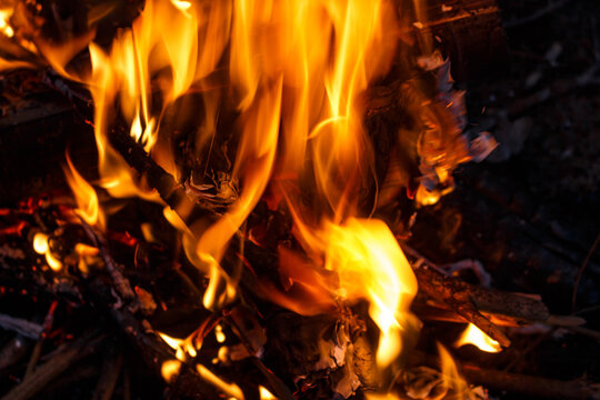 Vibrant, dancing flames engulf dark twigs and embers creating a warm, mesmerizing abstract background of intense orange and yellow light