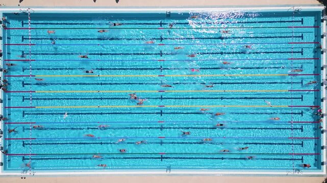 Aerial Top Down View of Swimmers Training in an Outdoor Swimming Pool