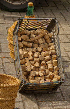 Natural wine corks fill a plastic crate beside wicker baskets and a glass carboy bottle at a vineyard in the afternoon