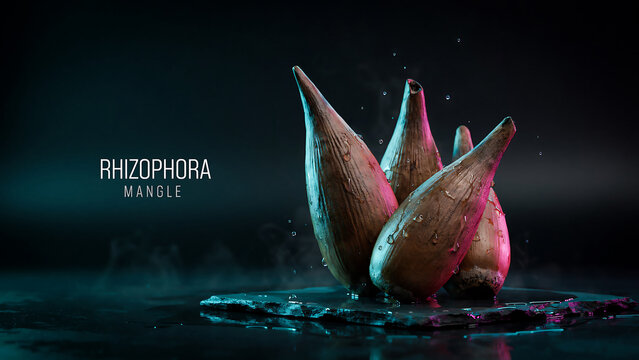 Rhizophora Mangle Roots Emerging From Water With Glowing Pink And Blue Light Effects
