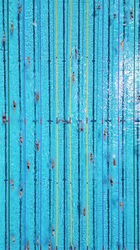 Aerial Top Down View of Swimmers Training in an Outdoor Swimming Pool