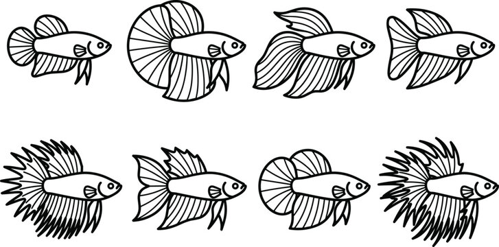 Siamese fighting fish and betta splendens line icon set featuring beautiful aquarium creatures isolated on white background.