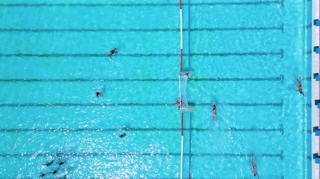 Aerial Top Down View of Swimmers Training in an Outdoor Swimming Pool