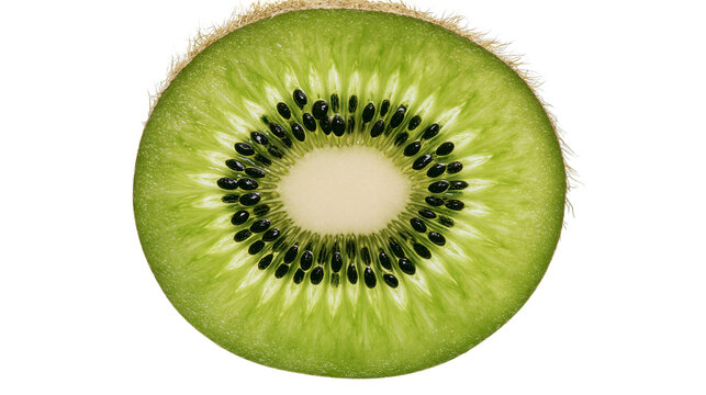 Kiwi fruit slice with green flesh and black seeds