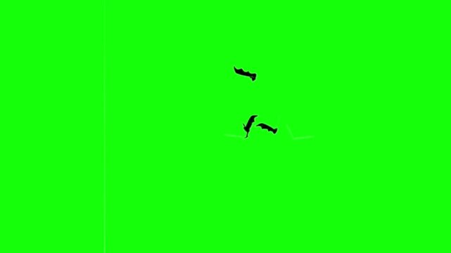 Flying Halloween Bats Silhouette Overlay Animation
