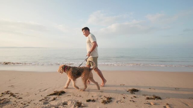 Man walks dog on beach during sunset at calm seaside location