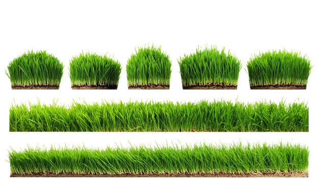 Collection of fresh green grass strips and patches with soil isolated on transparent background. Perfect natural borders for landscaping, ecology and spring garden design concepts.