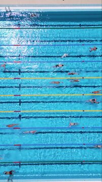 Aerial Top Down View of Swimmers Training in an Outdoor Swimming Pool