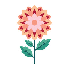Obraz premium Vibrant pink and orange flower with green leaves on white background