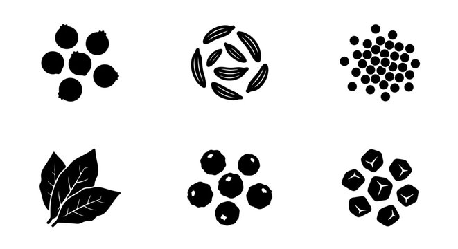 Spice Icons Collection: Black Peppercorns, Cumin Seeds, Coriander Seeds, Bay Leaves, Allspice Berries, Star Anise Vector Graphics for Culinary Design
