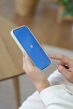 mobile phone with new logo X for twitter on blue background with white bird, Elon Musk vows to ditch bird logo