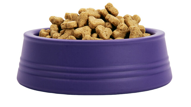 Purple pet food bowl filled with dry kibble