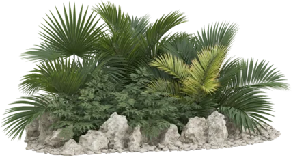 Fototapete Badezimmer Tropical palm fronds and green foliage with rocks  © Ophelia