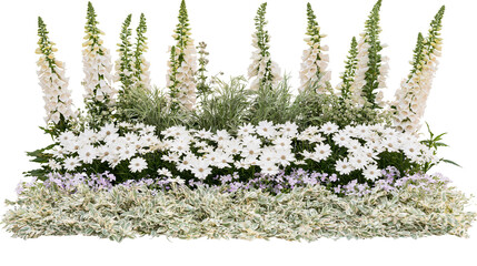 White foxglove and daisy flower arrangement with variegated foliage © Ophelia