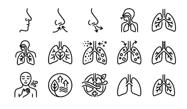 Nasal Breathing Airflow Outline Icon Vector Set