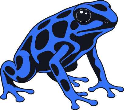 A blue poison dart frog illustration, featuring black spots on its vibrant blue skin.