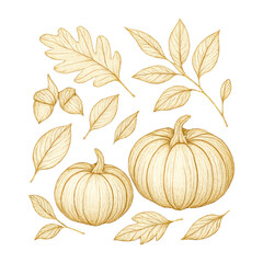 Obraz premium PNG Elegant autumn botanical illustration.