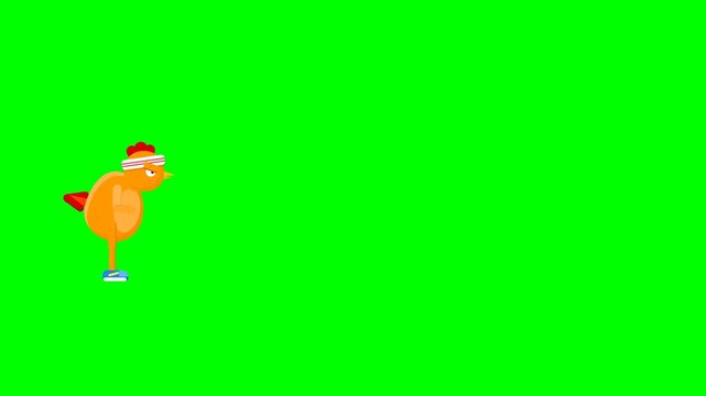 Funny Animated Cartoon Chicken Jogging with Headband and Sneakers on Green Screen Background