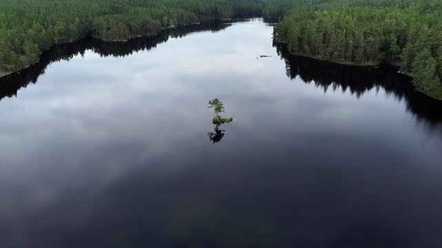 Aerial view of a lonely tree on a small island in Tiveden National Park, Sweden