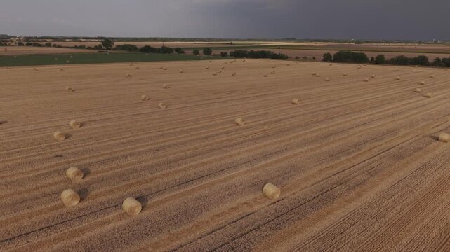 A drone view of a harvested wheat field covered with evenly spaced round hay bales stretching across the rural landscape.