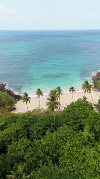 Vertical drone view of sandy beach with palm trees and turquoise ocean at Playa Ermitano in Samana, Dominican Republic. Copy space